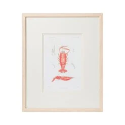 Crustacean Framed Art Print -Sabre Home Decor Sale TABLETOP 2 3b209a95 fce3 4a68 804e 0daf21f12998