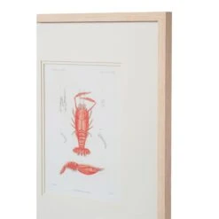 Crustacean Framed Art Print -Sabre Home Decor Sale TABLETOP 3 1b4505cd 15a8 4ccd beb0 5aba1f65b475