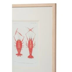 Crustacean Framed Art Print -Sabre Home Decor Sale TABLETOP 7 67c57052 8201 413d 947e 46e181a041d2