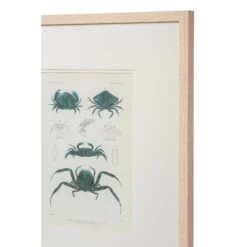 Blue Crab Framed Art -Sabre Home Decor Sale TABLETOP 9 6b26f345 7891 4ad4 b86c f6c9336634fc