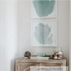 Sea Fan Framed Art - Blue Haze -Sabre Home Decor Sale TABLETOP a2099148 a8ac 46f5 9195 340b01a9c4b9