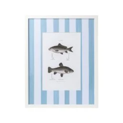 Vintage Freshwater Fish Print Framed Art