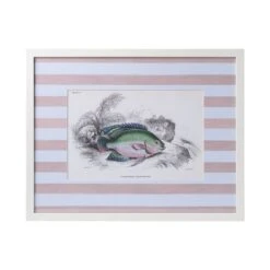 Stripe Fish Framed Art Print - E