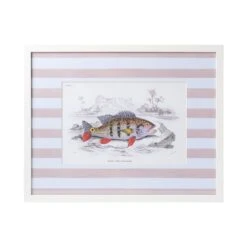 Stripe Fish Framed Art Print - D