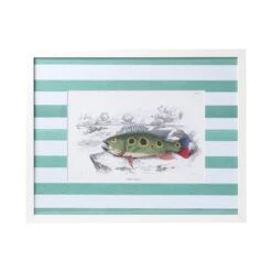 Stripe Fish Framed Art Print - A