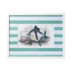 Stripe Fish Framed Art Print - B