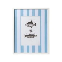 Vintage Freshwater Fish Print Framed Art 21 Vintage Freshwater Fish Print Framed Art -Sabre Home Decor Sale TABLOP 3 ac13b7c5 eb94 4881 a729 405b12687a3f