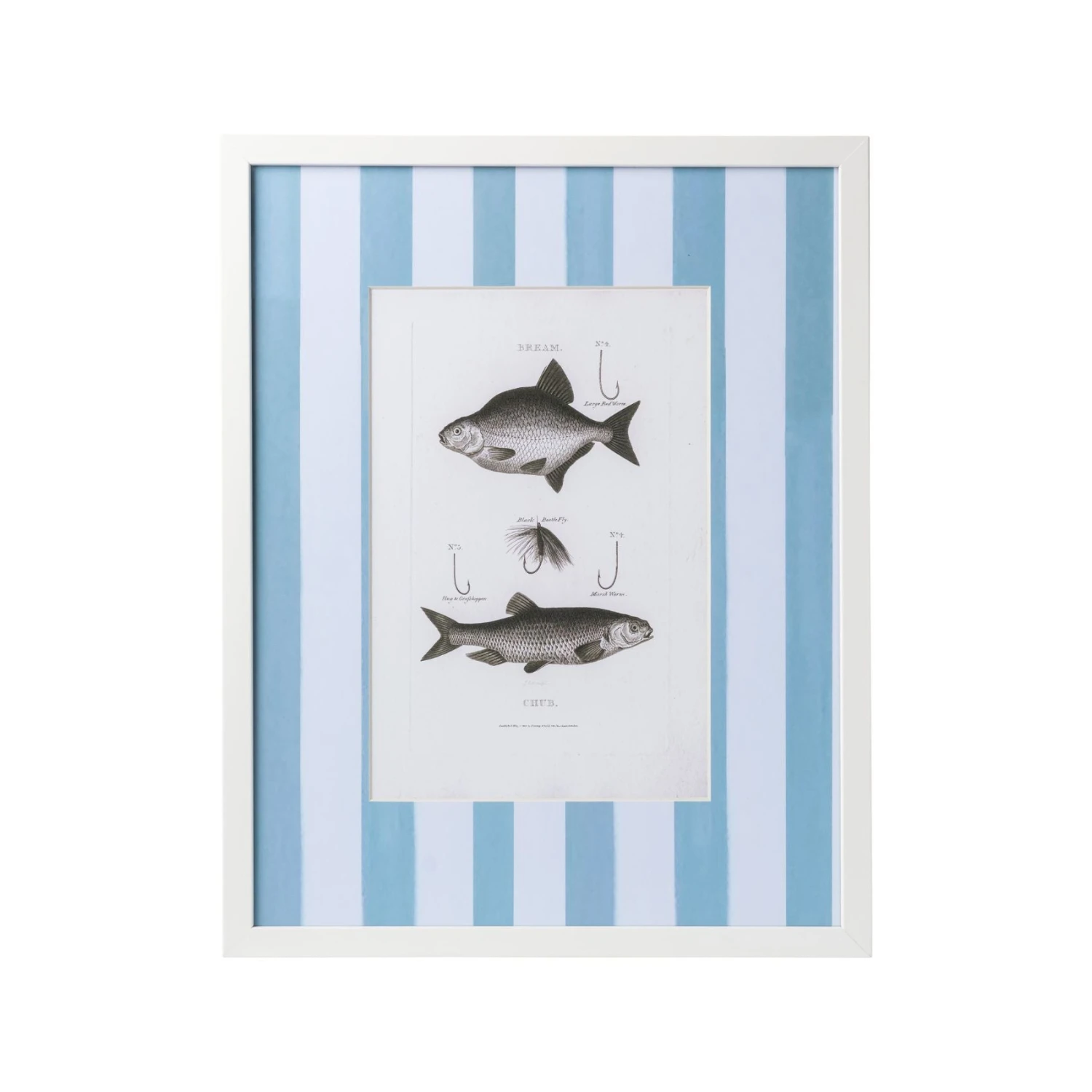 Vintage Freshwater Fish Print Framed Art 4 Vintage Freshwater Fish Print Framed Art - Image 4