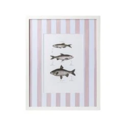 Vintage Freshwater Fish Print Framed Art 27 Vintage Freshwater Fish Print Framed Art -Sabre Home Decor Sale TABLOP 4 09a265f5 cd82 4509 9115 32953649edfd