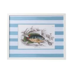 Stripe Fish Framed Art Print - F