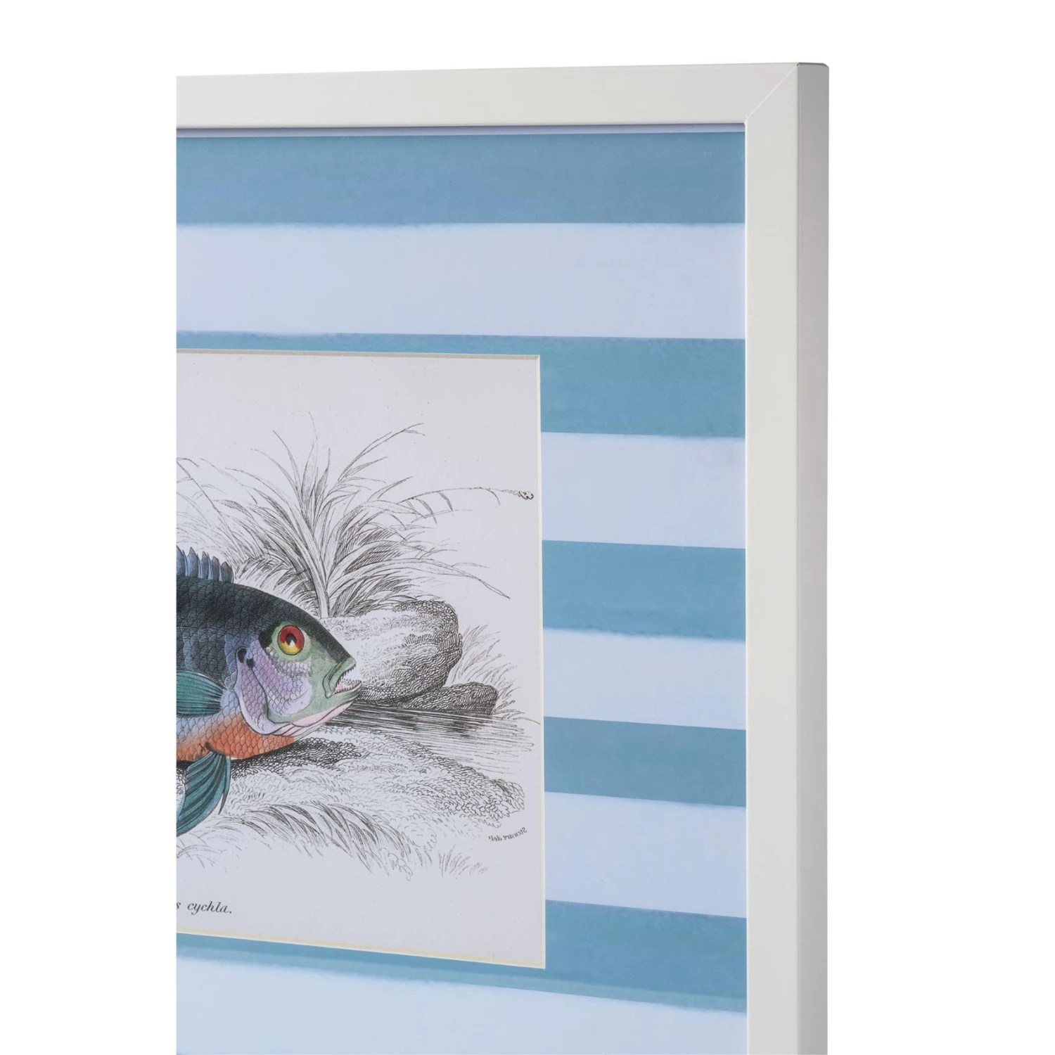 Stripe Fish Framed Art Print - C 3 Stripe Fish Framed Art Print - C - Image 3