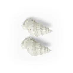 Conch Shell Salt & Pepper Shakers -Sabre Home Decor Sale TBLT 1001 ALT