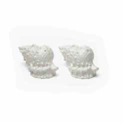 Conch Shell Salt & Pepper Shakers