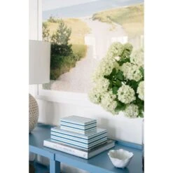 Surfside Beach Path -Sabre Home Decor Sale ZC49 10 4aa0a0db 874e 4e8b 9948 2337b5bb0263