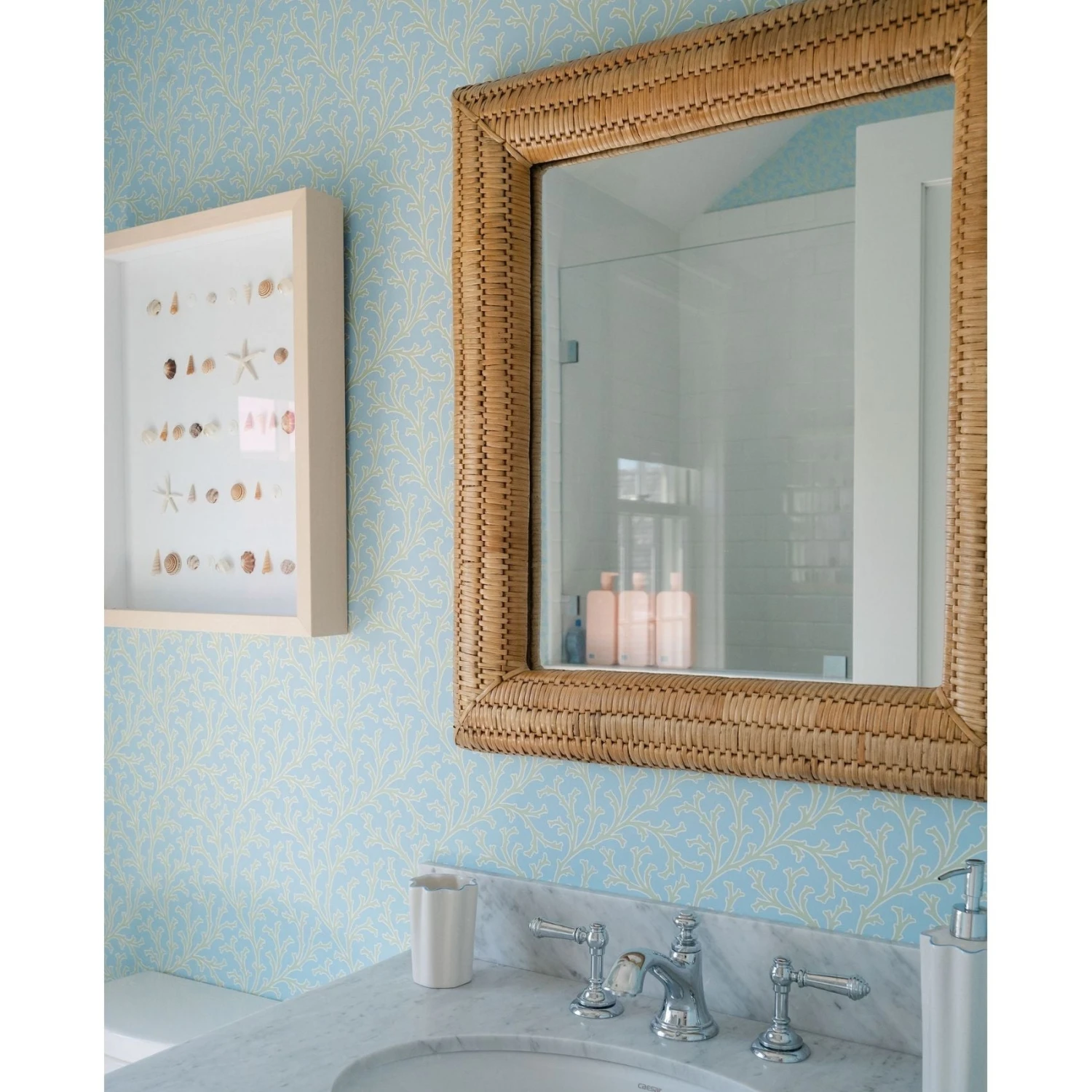 Bespoke Shell Study Art - Maple Frame 4 Bespoke Shell Study Art - Maple Frame - Image 4